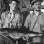 Old newspapers track porpoise populations across the Baltic Sea