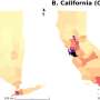 Partisan segregation may be shaping Asian Americans' voting behavior