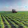 Researchers study how AI could improve weed management