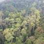 Across southwest China and Thailand, plant turnover and nematode body width help explain soil diversity