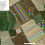 Planting the future: Researchers put AI to work on the farm