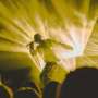 From virtue to vice: How the morality of popular music lyrics has changed since the 1960s