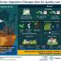 Study finds climate-driven greening is reshaping East Asia's air pollution