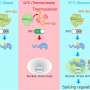 Heat-stressed cells use nuclear stress bodies to restart RNA splicing, study finds