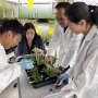 Reading the leaves: Decoding the secret cellular language of plants