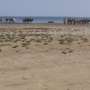 Reflooding the Aral Sea could prevent massive CO₂ emissions