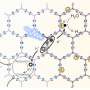 A 1,000-fold longer charge lifetime helps organic catalyst produce solar hydrogen faster