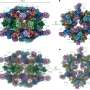 Decoding of one of nature's largest enzymes reveals electron flow behind biological methane production