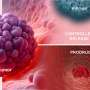 Researchers develop a new prodrug and localized drug delivery platform for selective treatment of cancer