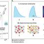 Researchers expand simulation tool to help design the next generation of photonic and quantum devices