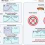 Insects exhibit evidence of a daily body clock for humidity