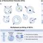 Single-vesicle profiling could push liquid biopsies toward everyday clinical use