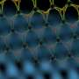 Atomic bands in two transition metal dichalcogenides hint at long-theorized quantum state