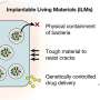 Implantable bacteria can now be safely contained, clearing a major hurdle for fighting infection and cancer