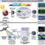 Researchers propose quantum Earth observation for photon-limited environments