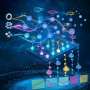 Physicists turn classical light into a quantum machine for information processing