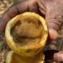 Restoring African landscapes with indigenous food-bearing trees