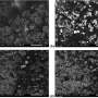 New reversible conductive glue could reshape electronics repair, recycling, and material recovery
