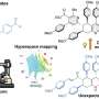 Robots and AI uncover unexpected pathway in classic 135-year-old chemical reaction