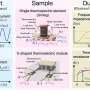 Unified framework shows thermoelectric performance depends on more than the material itself