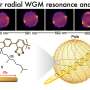 Saturn-ring-like laser emission from chiral polymeric microspheres