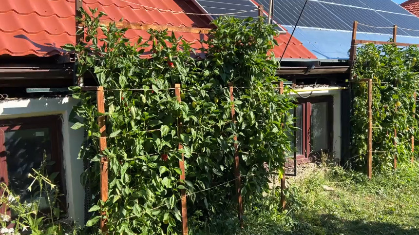 Gardening With…OpenSCAD?