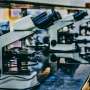How to manage public investment in science with balance