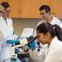 The National Science Board purge, explained