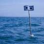Scientists develop 'floating scarecrow' to protect threatened seabirds