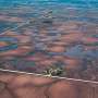 Flooded fields across Midwest spur push for farm-tested solutions