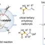 Developing new asymmetric catalytic reactions for the synthesis of complex molecules