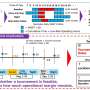 Smart planning of outdoor sports tournaments using environmental heat measurements