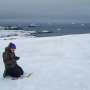 Snow and glacier ecosystems across remote Antarctic island reveal hidden microbial diversity
