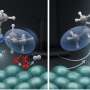 New catalyst design selectively suppresses competing hydrogen reaction in ammonia synthesis