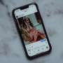 How eye-catching social media feeds steer attention toward misinformation