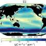 Southern Ocean may flip from carbon sink to carbon source under mitigation scenarios