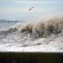 Swiss researchers hoard vast trove of NASA climate data