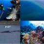 Starfish program creates new jobs