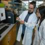 Seasonal gene switch locks fruit flies in winter mode