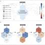 Study reveals inter-city collaboration on emission reduction boosts sustainability performance