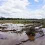 Study reveals peatlands may have less capacity to store carbon than predicted