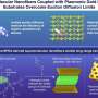 Supramolecular nanofibers paired with nanohole substrate improve exciton transport in organic solid