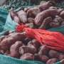 One-third of food is lost or wasted: How to help farmers cut postharvest losses