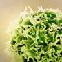 Immune cells have a 'sense of touch,' scientists discover
