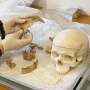 The discovery of an ancient child's skull sheds light on the early prehistoric farmers of Norway