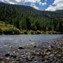 US moves to open vast tracts of pristine forests to logging