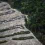 Amazon soy pact collapse could add 1.4 million hectares of deforestation by 2036