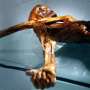 Scientists find yeast in ancient Iceman's guts—and make bread