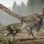 Tiny Jurassic bird reveals a key step in bird evolution