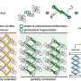 Tiny molecular scissors reveal how crystals bend without breaking